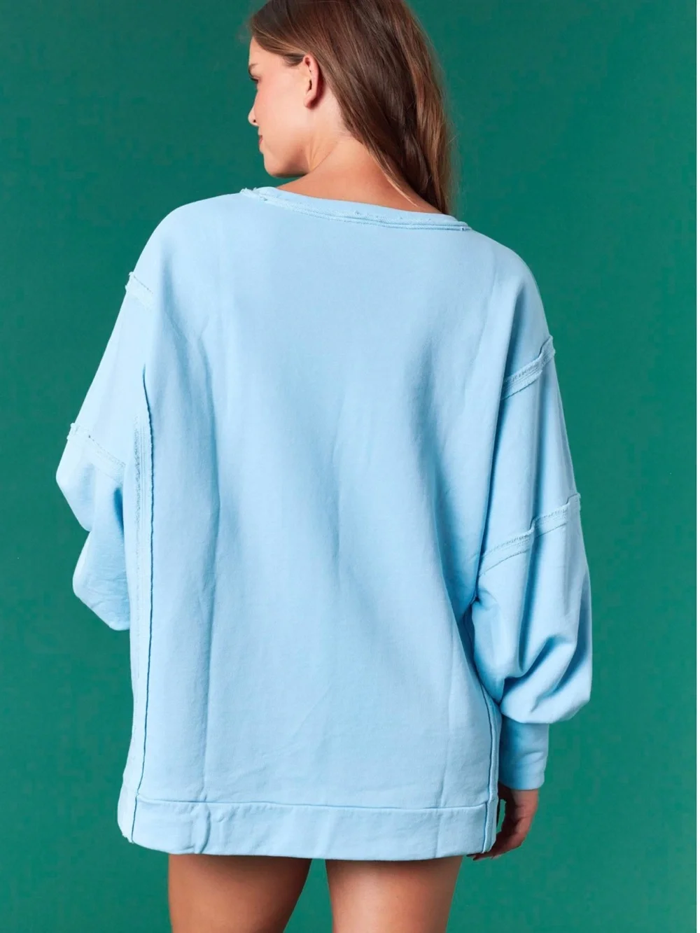 W1–🤍🩵🎄☃️ (SHIPPED 8/6) Fantastic Fawn Light Blue Holiday Appliqué Sweatshirt